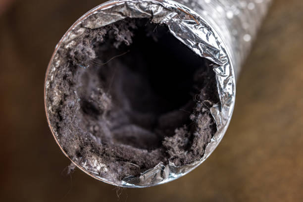 Best Ductwork Cleaning Services  in Feasterville, PA