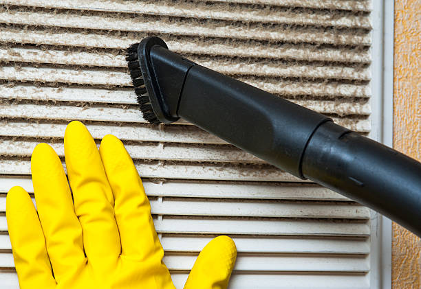Best Dryer Vent Cleaning Services  in Feasterville, PA